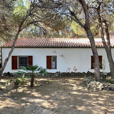 Porto Pineto Villa Indipendente 100 Mt Dal Mare Iunp7395 Porto Pino Esterno foto