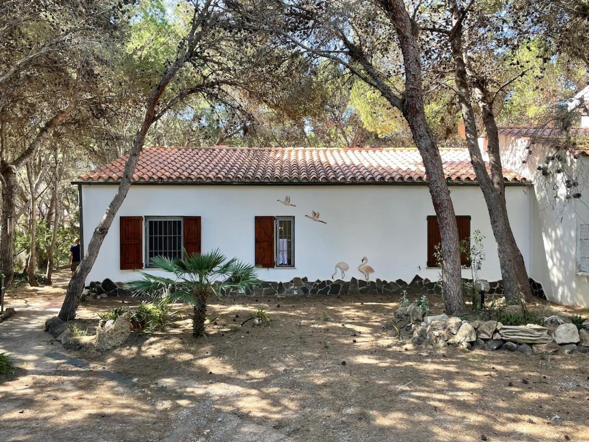 Porto Pineto Villa Indipendente 100 Mt Dal Mare Iunp7395 Porto Pino Esterno foto