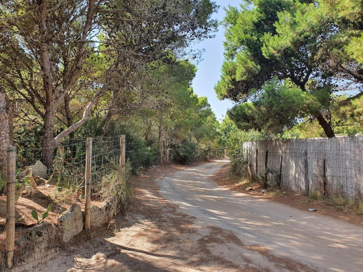 Porto Pineto Villa Indipendente 100 Mt Dal Mare Iunp7395 Porto Pino Esterno foto